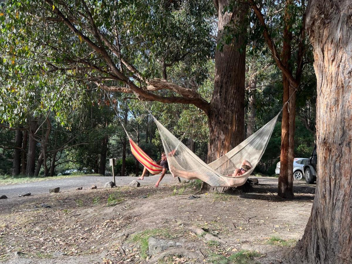 Готель Base Camp Tasmania Нью-Норфолк Екстер'єр фото