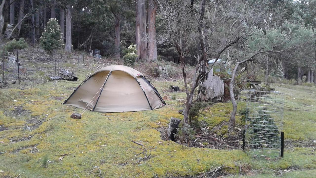 Готель Base Camp Tasmania Нью-Норфолк Екстер'єр фото